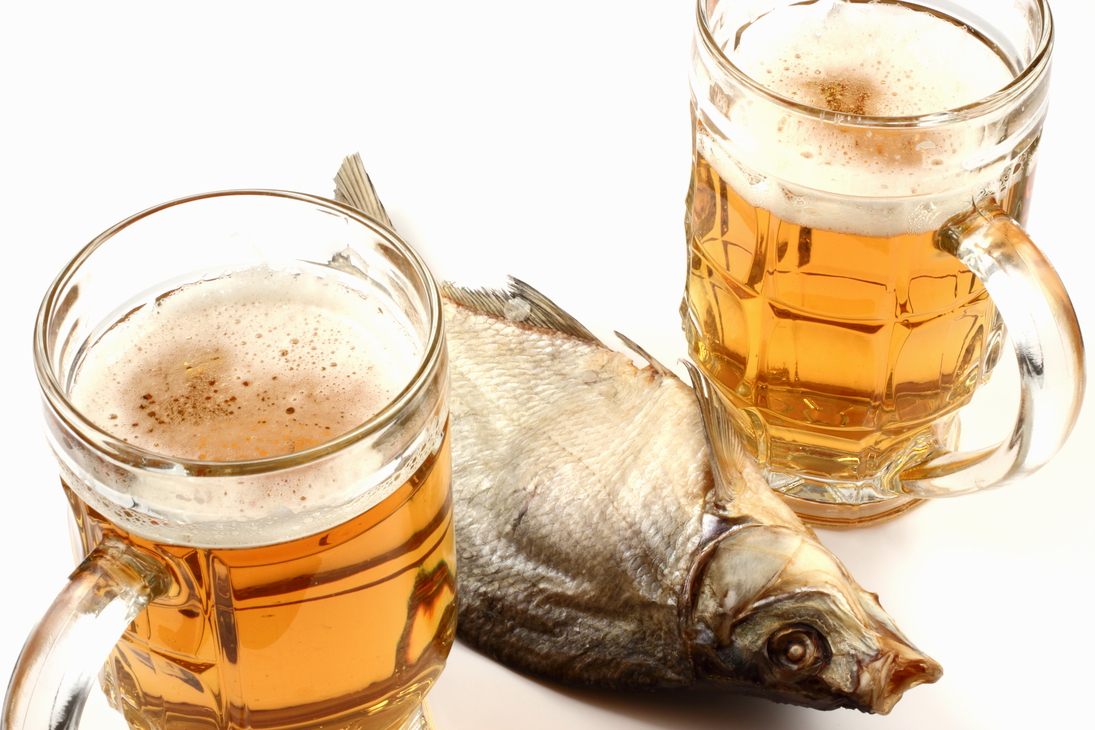 Рыба пьет пиво. Пиво с таранкой.