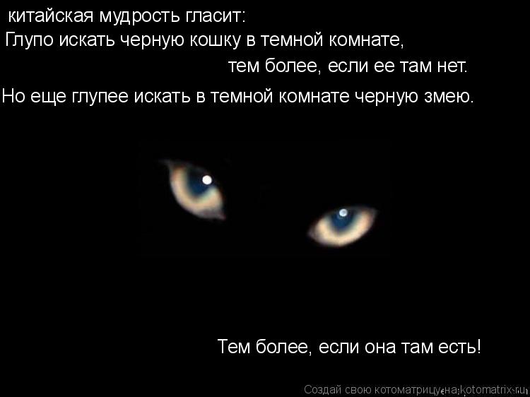 Чёрная кошка в тёмной комнате.jpg