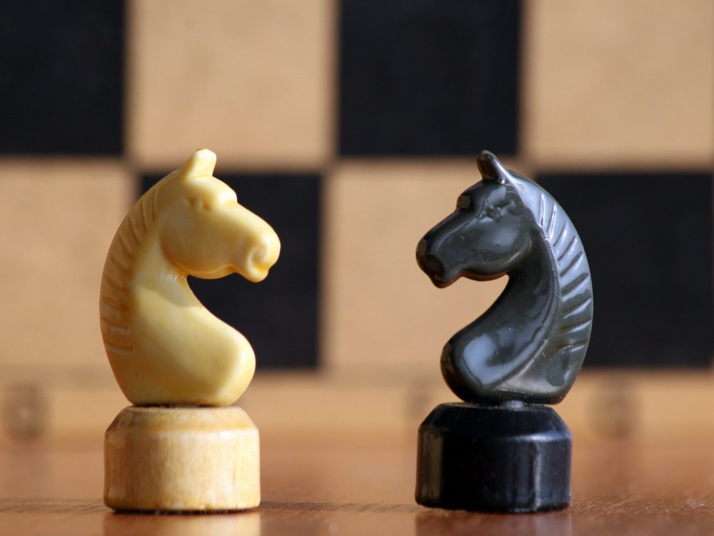 chess_figures_horse_black_white-775785.jpg