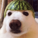 Когда-нибудь я стану гуру