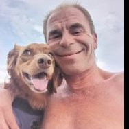 Бестолковый